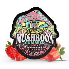 Buy Mushroom Gummies Online