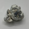 Merinque Mushrooms