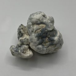 Merinque Mushrooms