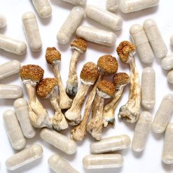 Shrooms Capsules