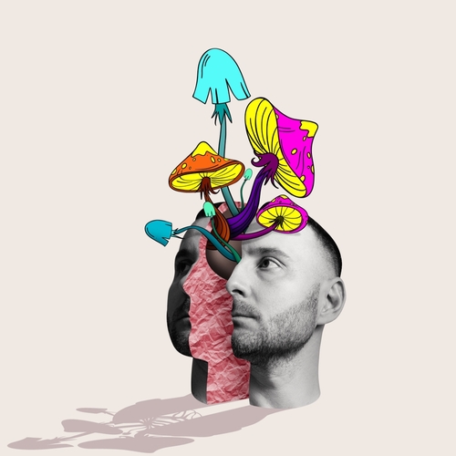 Understanding the Legal Status of Magic Mushrooms in 2026