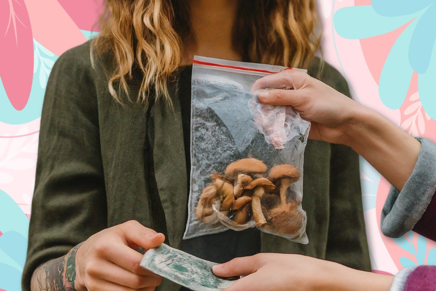 Where-to-Buy-Shrooms-Safely-and-Legally-featured