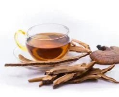 Mushroom Tea For Sale – Premium Magic & Wellness Blends 2026 | Planex Psychedelics
