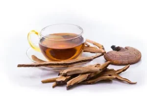 Mushroom Tea For Sale – Premium Magic & Wellness Blends 2026 | Planex Psychedelics