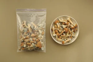 Psilocybin: Science, Research